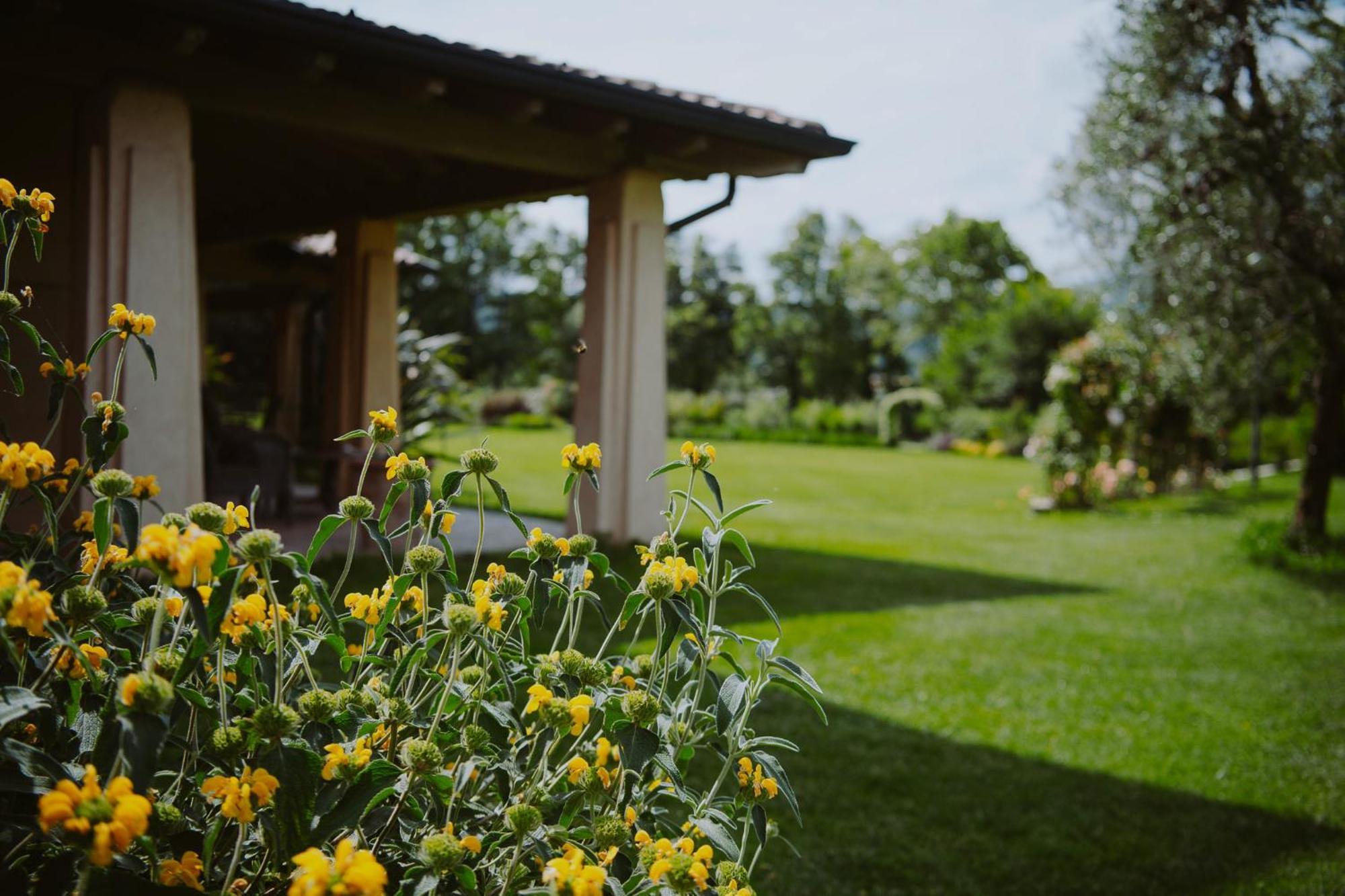 Maison d'hôtes Relais de Charme le Videlle à Raffa Extérieur photo